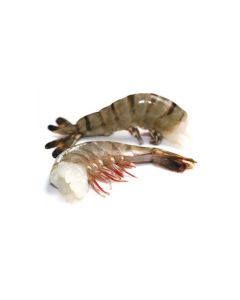 NSFIL Fresh Water King Prawns Head Less Shell On 6-8 700g