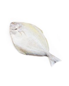 Crown Farms Black Pomfret Fish Frozen 800-1000g
