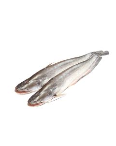 Crown Farms Ayre Burmese Special pkt 2pcs Frozen 3kg