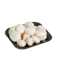 Fresh Cup Mushroom Box
