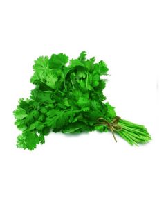 Fresh Coriander Bunch