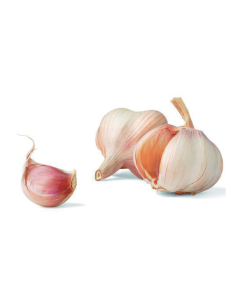 Fresh Garlic Box 8kg