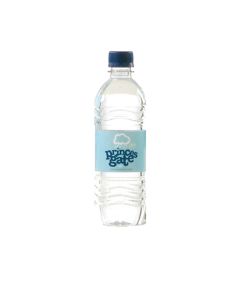 Princes Gate Spring Still Water 500ml